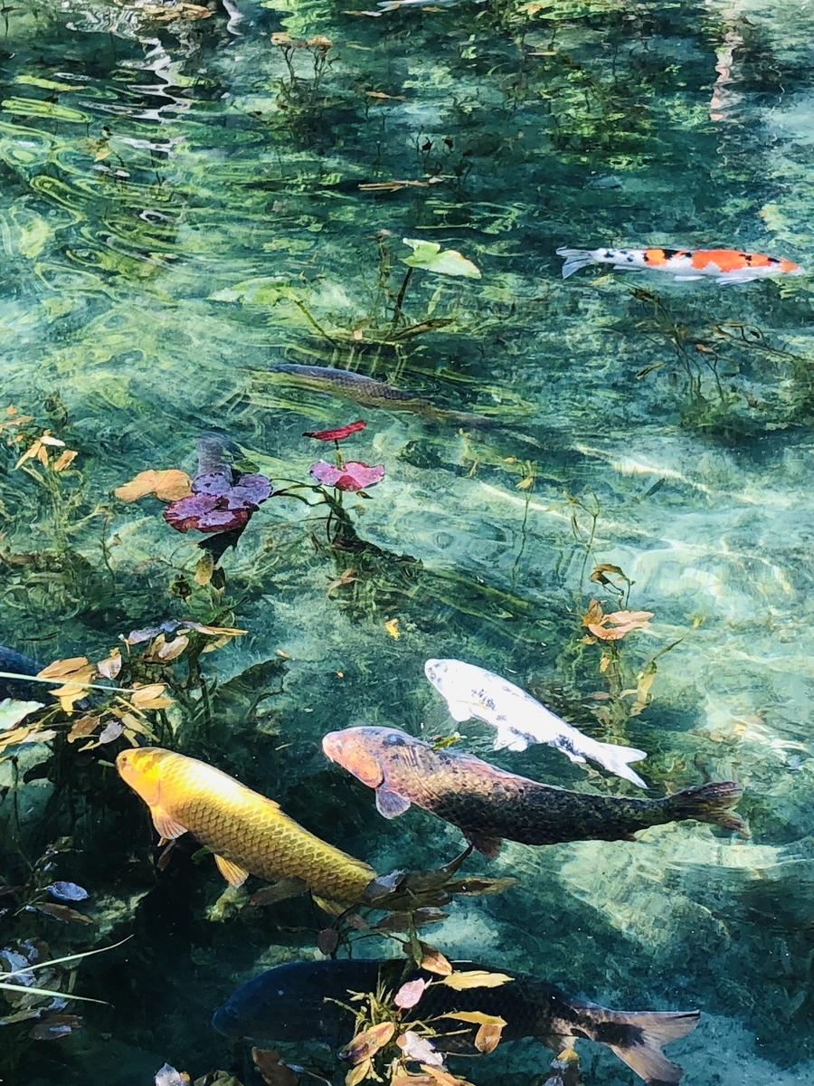 f:id:opiyama:20190703221204j:plain f:id:opiyama:20190703221204j:plain