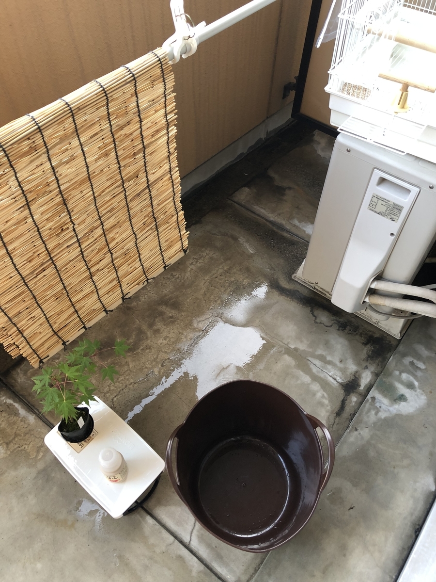 f:id:opiyama:20190901161909j:plain f:id:opiyama:20190901161909j:plain