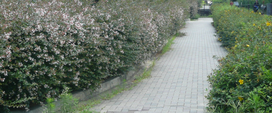 f:id:opop7976:20190626153647p:plain