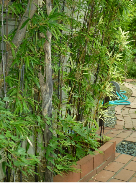 f:id:opop7976:20190708000518p:plain