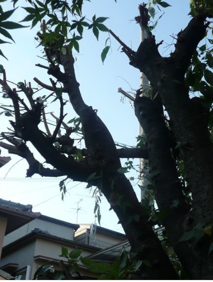 f:id:opop7976:20191006202058j:plain f:id:opop7976:20191006202058j:plain