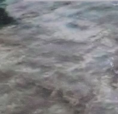 f:id:opop7976:20191016200947j:plain f:id:opop7976:20191016200947j:plain