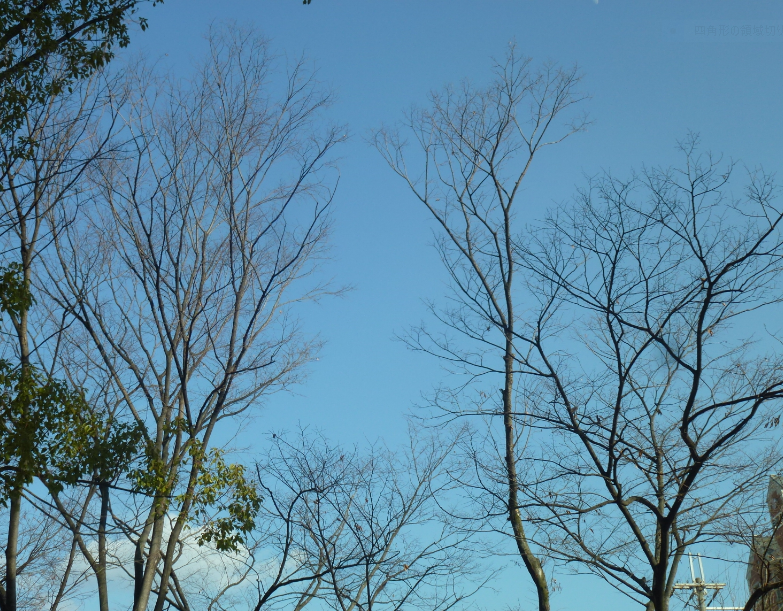 f:id:opop7976:20200206004133p:plain f:id:opop7976:20200206004133p:plain
