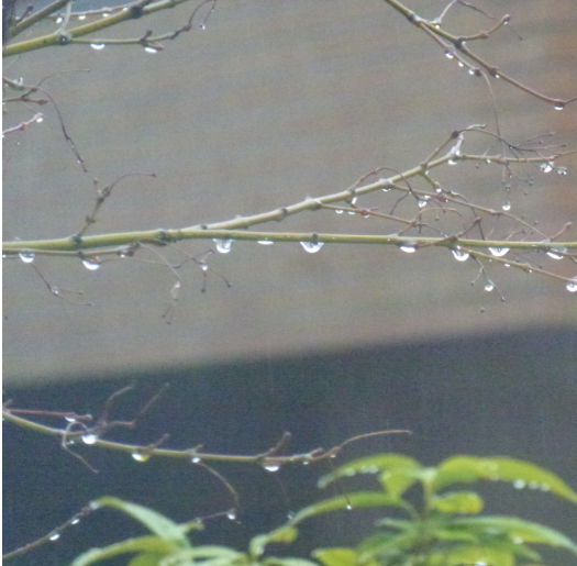 雨の日にはカラオケを 宇奈月ブログ