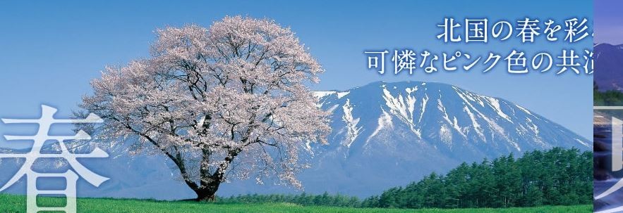 f:id:opop7976:20200227211957j:plain