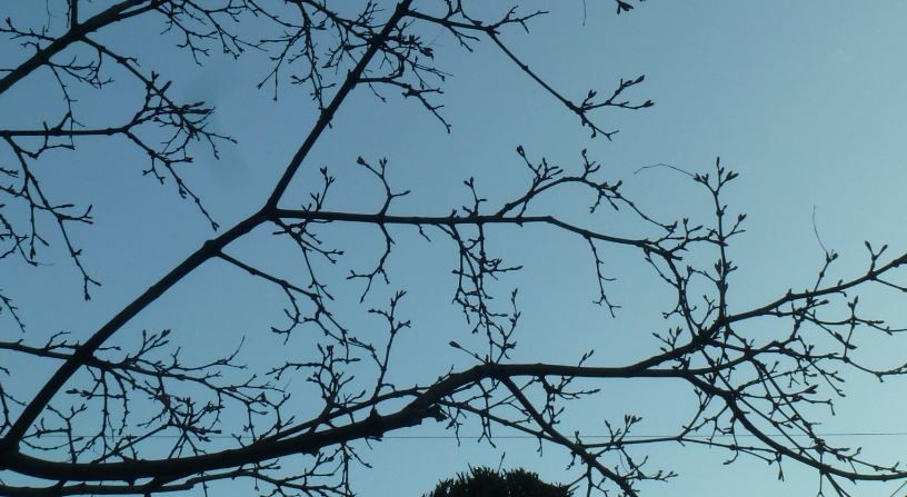 f:id:opop7976:20200313174912j:plain