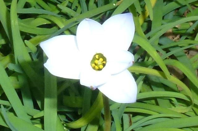 f:id:opop7976:20200317011404j:plain f:id:opop7976:20200317011404j:plain