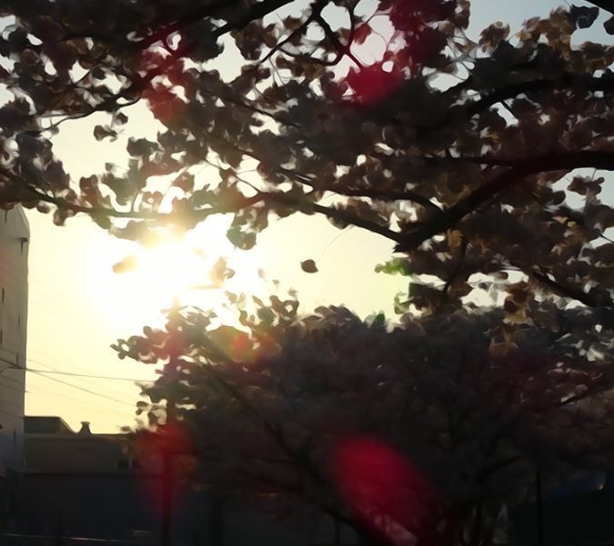 f:id:opop7976:20200405221330j:plain f:id:opop7976:20200405221330j:plain