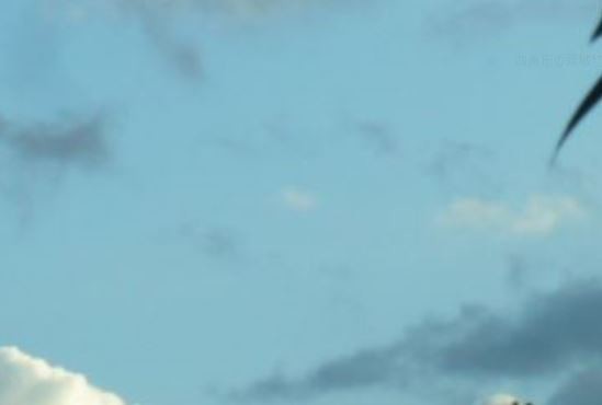 f:id:opop7976:20200409034723j:plain