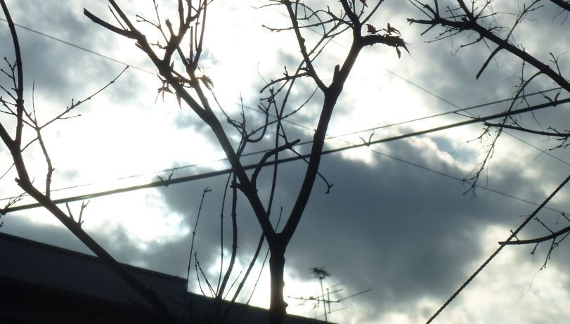 f:id:opop7976:20200416013718j:plain
