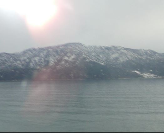 f:id:opop7976:20200502014317j:plain