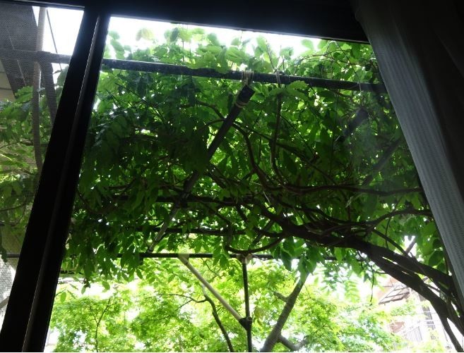 f:id:opop7976:20200612233105j:plain