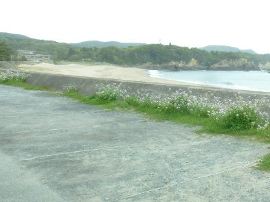 f:id:opop7976:20200723024127p:plain f:id:opop7976:20200723024127p:plain