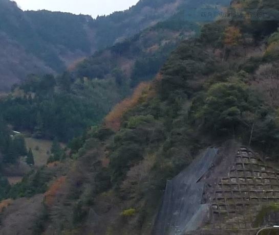f:id:opop7976:20200725005803j:plain f:id:opop7976:20200725005803j:plain