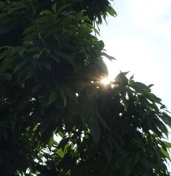 f:id:opop7976:20200729233604j:plain f:id:opop7976:20200729233604j:plain