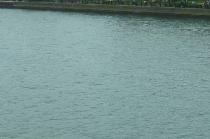 f:id:opop7976:20200801015005j:plain