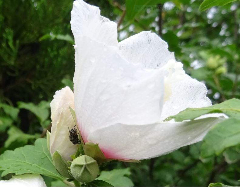 f:id:opop7976:20200807220750j:plain f:id:opop7976:20200807220750j:plain
