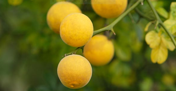 f:id:opop7976:20201102231144p:plain f:id:opop7976:20201102231144p:plain