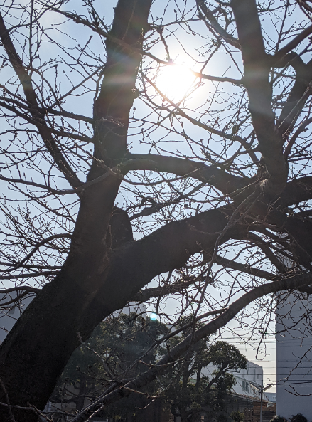 f:id:opop7976:20201228000513p:plain