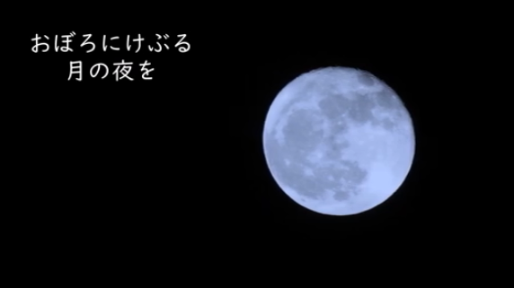 f:id:opop7976:20210112232254p:plain