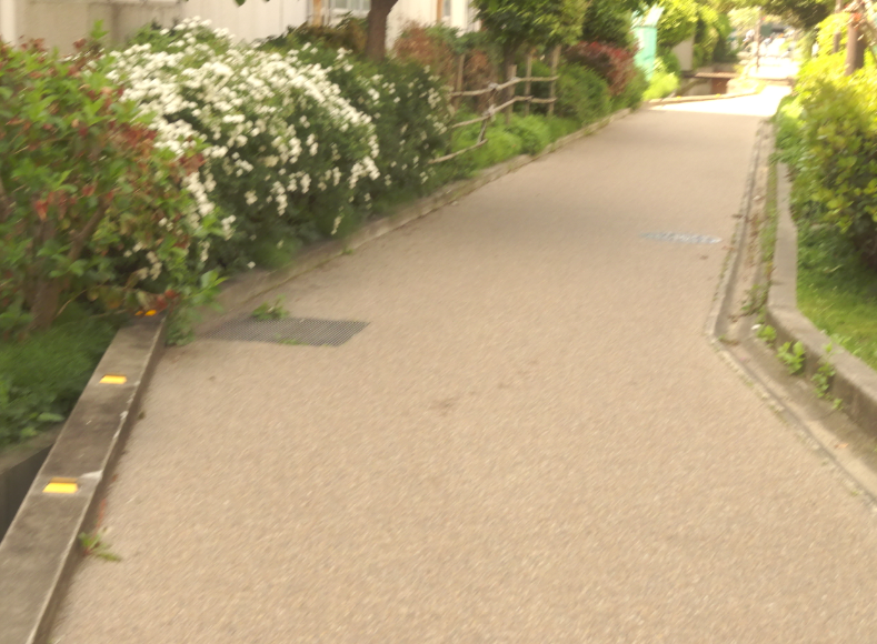 f:id:opop7976:20210419233748p:plain