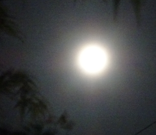 f:id:opop7976:20210428002516p:plain