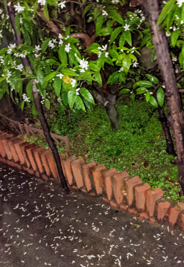 f:id:opop7976:20210430004430p:plain