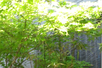 f:id:opop7976:20210509014252p:plain