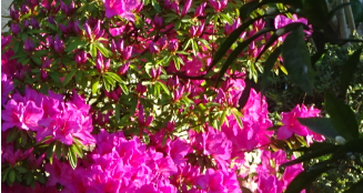 f:id:opop7976:20210509021634p:plain