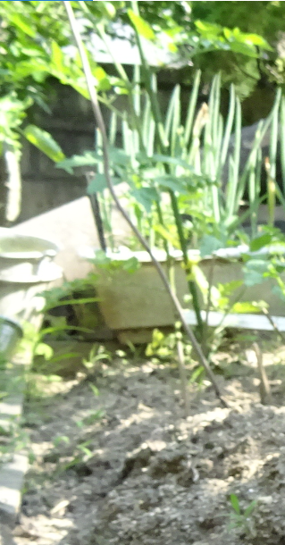 f:id:opop7976:20210612235213p:plain