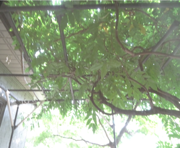 f:id:opop7976:20210803014622p:plain