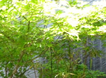 f:id:opop7976:20210820011626p:plain