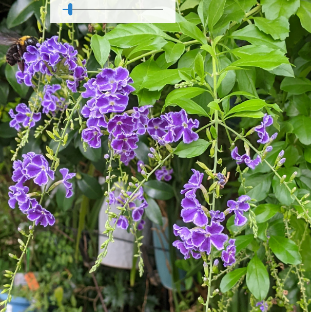 f:id:opop7976:20210923005603p:plain