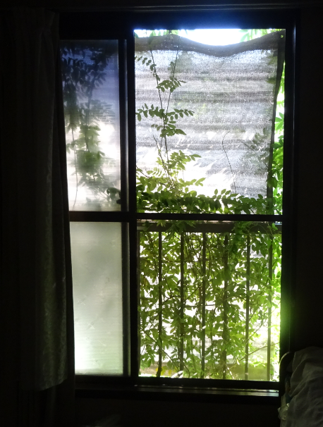 f:id:opop7976:20210928004843p:plain
