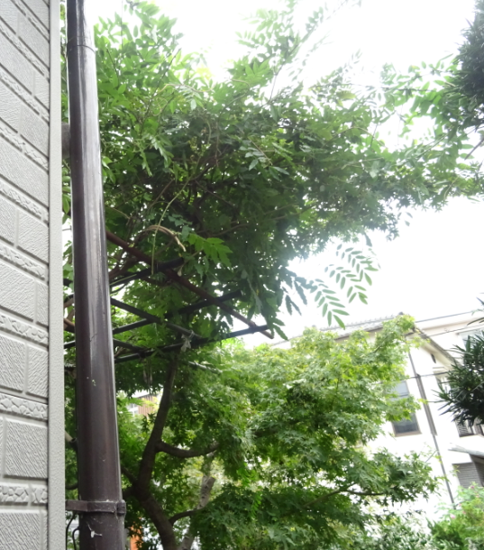f:id:opop7976:20211004002119p:plain