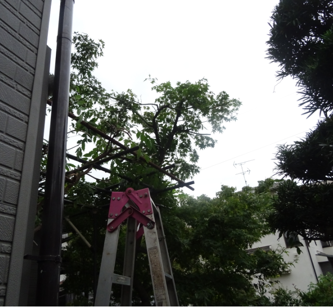 f:id:opop7976:20211004003035p:plain