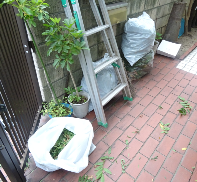 f:id:opop7976:20211004003501p:plain