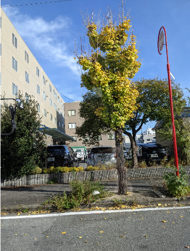 f:id:opop7976:20211201102521p:plain