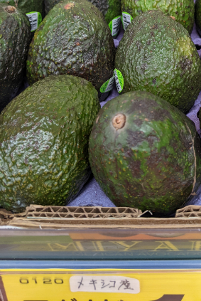 f:id:opop7976:20220121000925p:plain