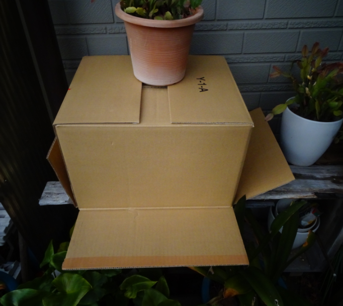 f:id:opop7976:20220127001738p:plain