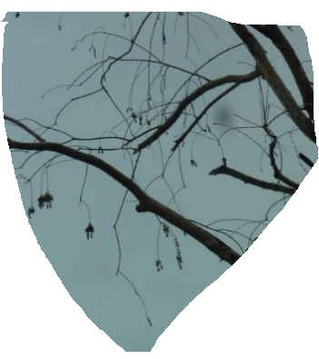 f:id:opop7976:20220210132918p:plain