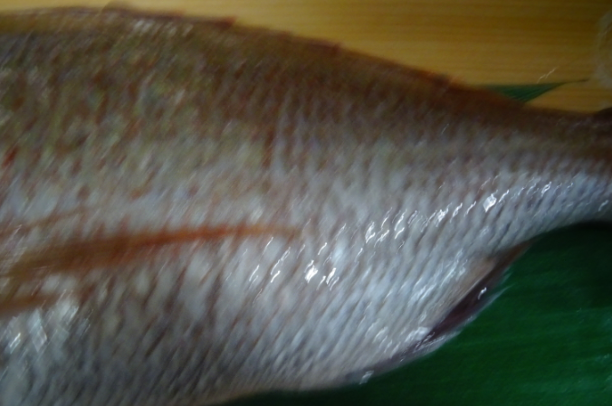f:id:opop7976:20220219005345p:plain