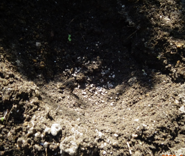 f:id:opop7976:20220411000510p:plain