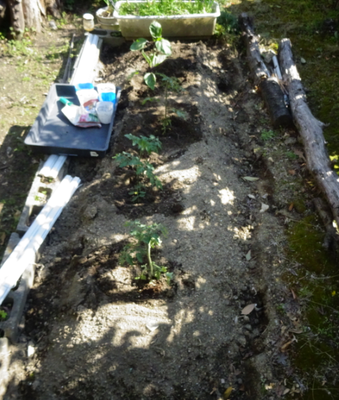 f:id:opop7976:20220411000519p:plain