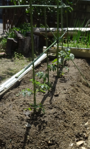 f:id:opop7976:20220411000536p:plain