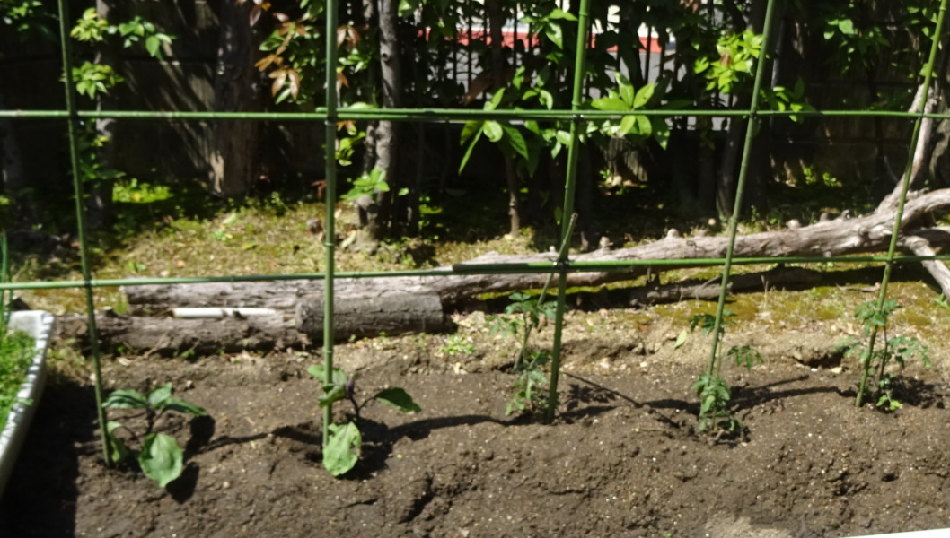 f:id:opop7976:20220411000552p:plain