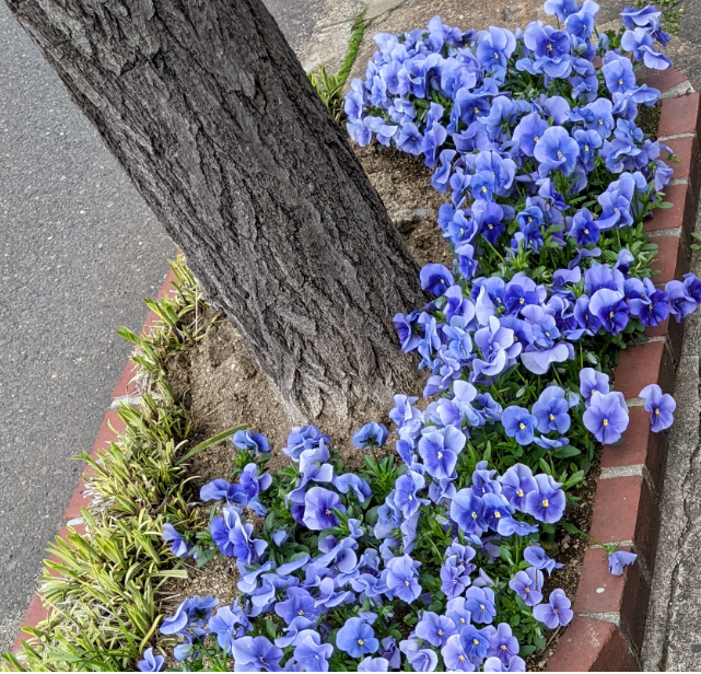 f:id:opop7976:20220411221624p:plain
