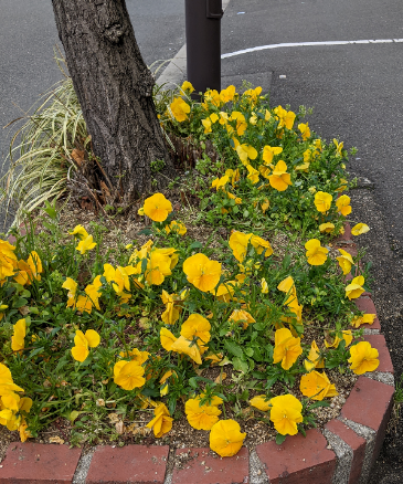 f:id:opop7976:20220411221633p:plain