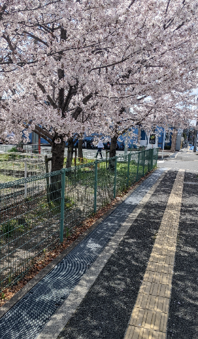 f:id:opop7976:20220411221657p:plain