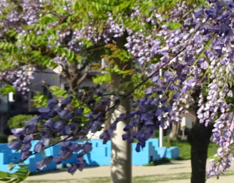 f:id:opop7976:20220417003533p:plain